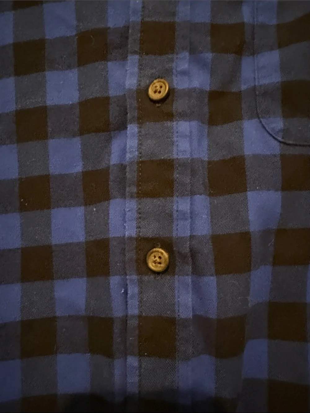 Banana Republic Blue and Black Check Button-Down Shirt